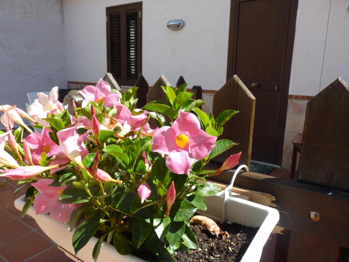 Villa Rosa Luxury Apartment Mondello Bagian luar foto